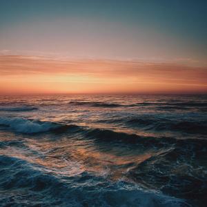 The Road That Carries Light