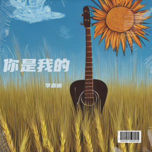 你是我的