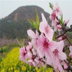 一切都在变 (钢琴弹唱版)