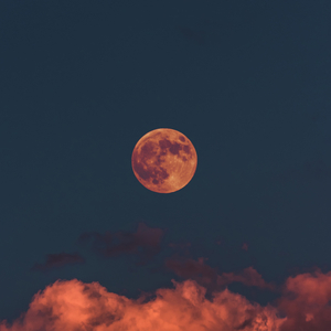 여름 밤 (Bird 2 Version)