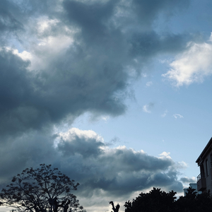 The Plugg wiz London