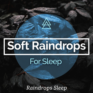 The Calm Before the Storm