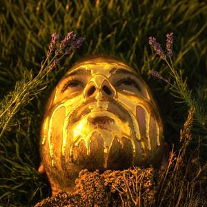 Of The Sun And The Wings