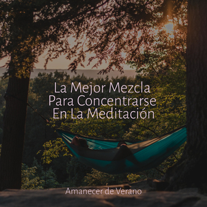 Abrazo Solitario Bajo la Luz del Sol