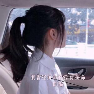 江湖策马 (DJ热播版)