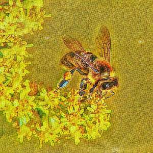 She Thinks I Know How To Get Away