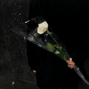 万有引力（吉他版）