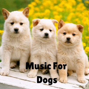 Music for Dogs Peace