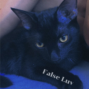 False luv