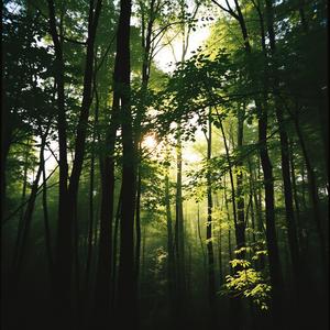 初夏のそよ風-250301-02 by @nia_japanese