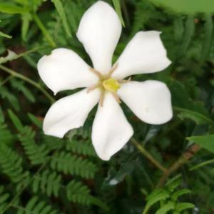 我想紧紧抱住你