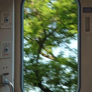 与君识（oc印象曲）