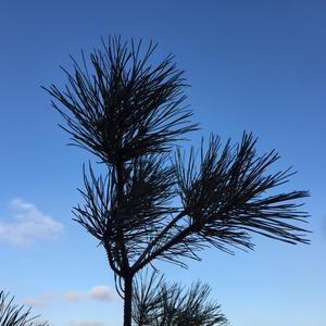 秋：难走