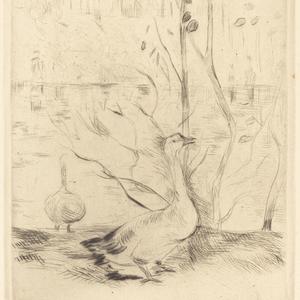 Εχει δύο μέρες που παίζεις με τα νεύρα μου