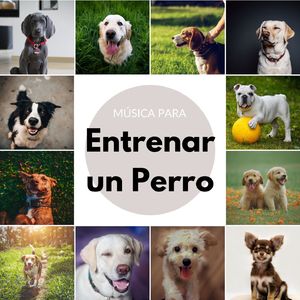 Juega Conmigo