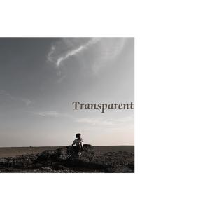 Sasha Sloan-透明的梦（子瑞ZFOREVER remix）