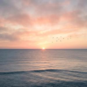 A Horizon Unfolding