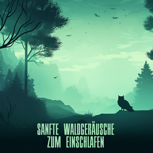 Waldgeraeusche für Kinder zum Entspannen