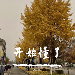 开始懂了