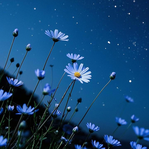 第四维度第三人称