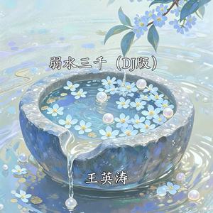 弱水三千 (DJ弹鼓版)