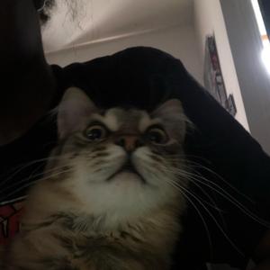 Yucky (Freestyle)