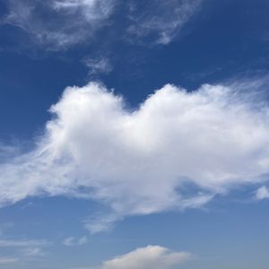 我爱你（cover腰乐队）