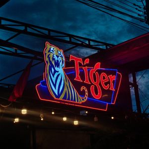 boos trap type beat bpm 156 f minor