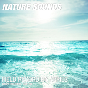 Nature Sounds for Sleep, Relaxation & Meditation (Calm sea, seawash, people) 04