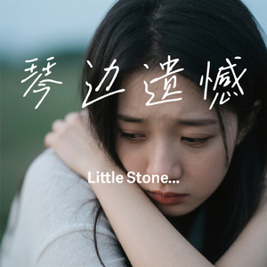 琴边遗憾