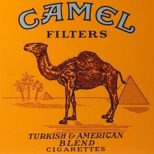 Camel Filters (BRTS)