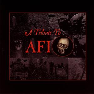 Highschool Football Hero