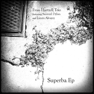 Superba