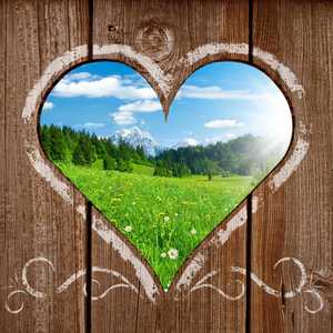 天蓝蓝花清香 (3)