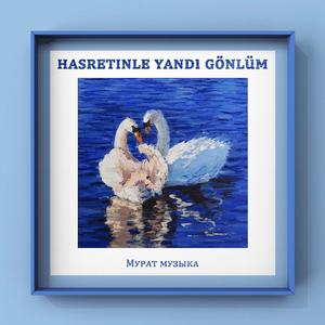 ʜᴀsʀᴇᴛɪɴʟᴇ ʏᴀɴᴅı ɢöɴʟüᴍ （ᴘɪᴀɴᴏ）