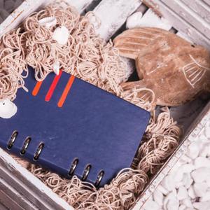 永恒的星夜 (八音盒)