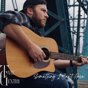 Something I Can't Have