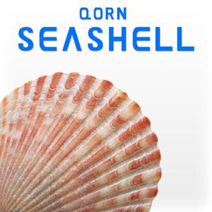 Seashell