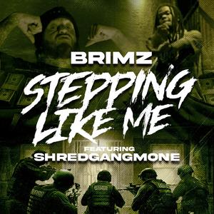 Steppin Like Me (feat. Shredgang Mone)