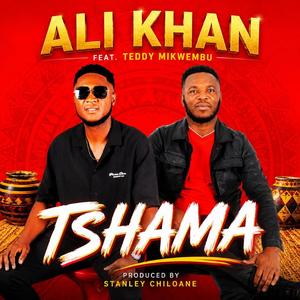TSHAMA (feat. TEDDY MIKWEMBU)
