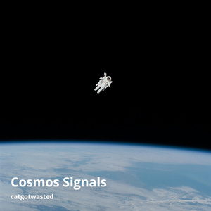 Cosmos Signals