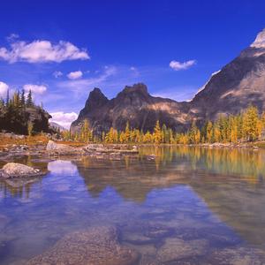 你不要再对我说是永恒