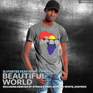 Beautiful World (Original Mix)