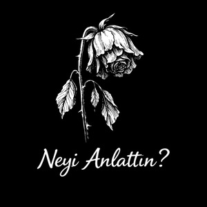 Neyi Anlattın?