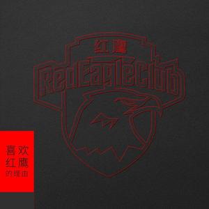 上海海港红鹰赞歌