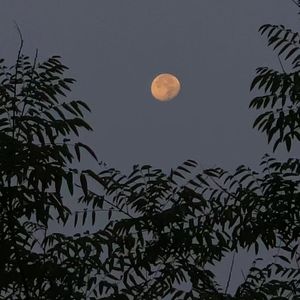 轻风拂面思如波