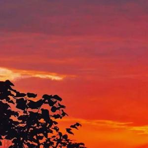 风也温柔（prod.Lakewavebeatz）