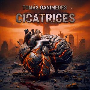 Cicatrices