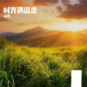 温柔入流年