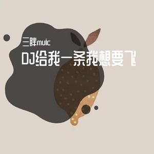 DJ给我一条我想要飞